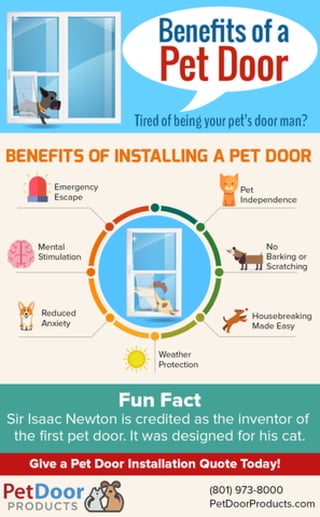 Benefits of having a pet door