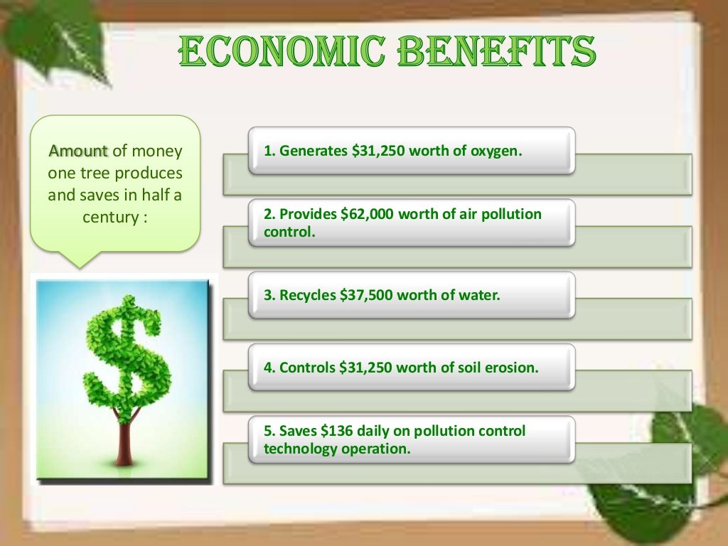 Benefits Of Having Trees