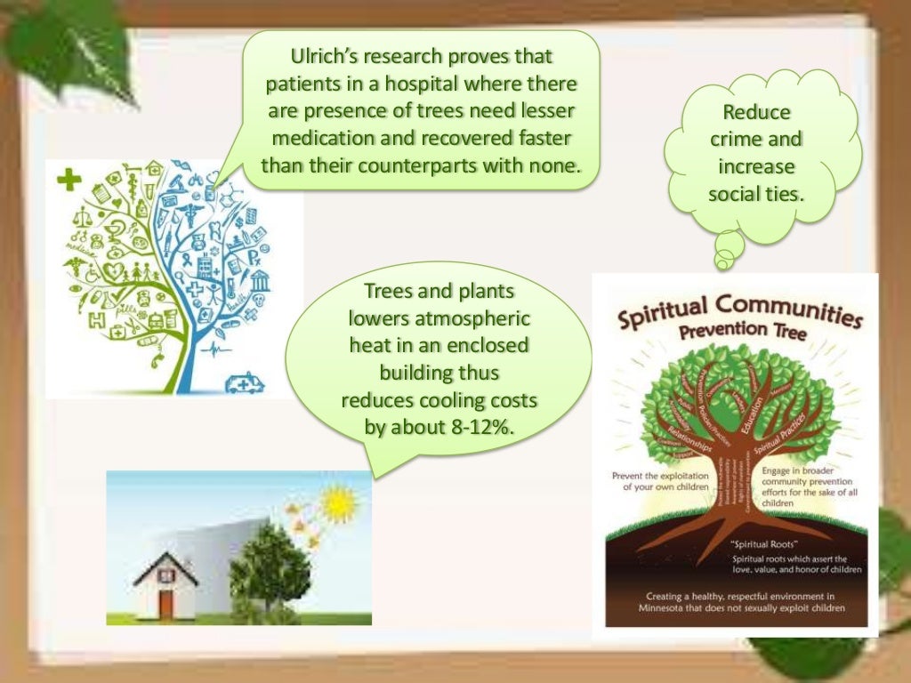 Benefits Of Having Trees