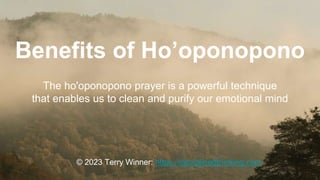Benefits of Ho’oponopono
The ho'oponopono prayer is a powerful technique
that enables us to clean and purify our emotional mind
© 2023 Terry Winner: https://disciplinedthinking.com
 