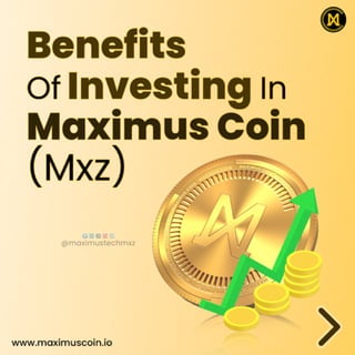 Benefits of investing in MXZ 