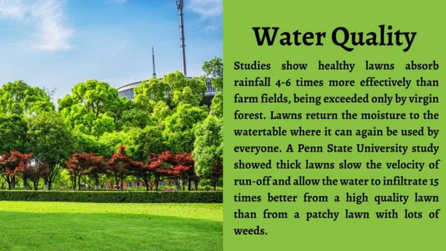 Benefits of Lawn Care.ppt