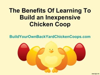 The Benefits Of Learning To Build an Inexpensive Chicken Coop BuildYourOwnBackYardChickenCoops.com 