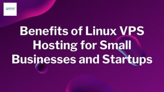 Benefits of Linux VPS
Hosting for Small
Businesses and Startups
 