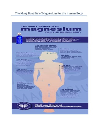 The Many Benefits of Magnesium for the Human Body
 