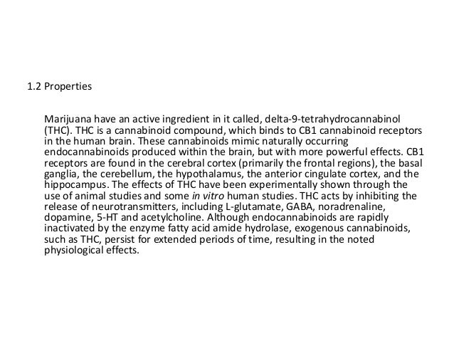cannibus dissertation
