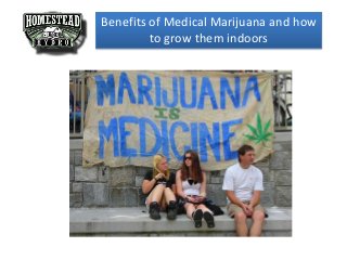 Benefits of Medical Marijuana and how
to grow them indoors
 