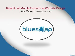 Benefits of Mobile Responsive Website Design
https://www.bluesoap.com.au
 