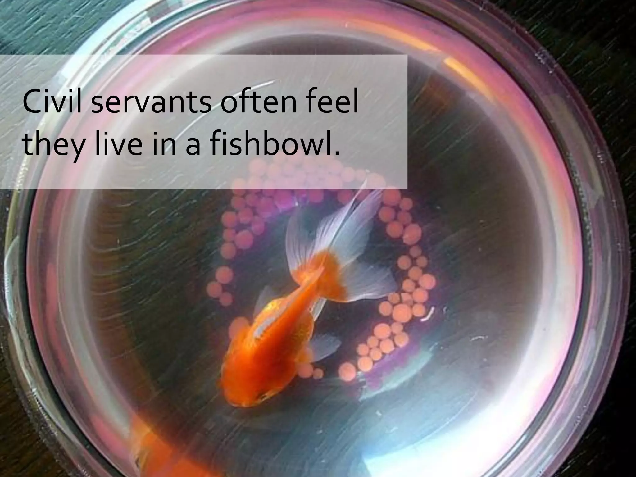 Civil servants often feel
they live in a fishbowl.
 