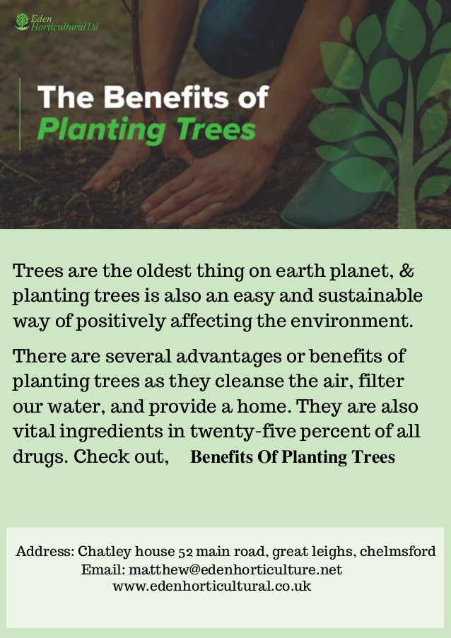 Benefits Of Planting Trees
