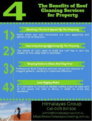 Benefits of Roof Cleaning Services - Infographic