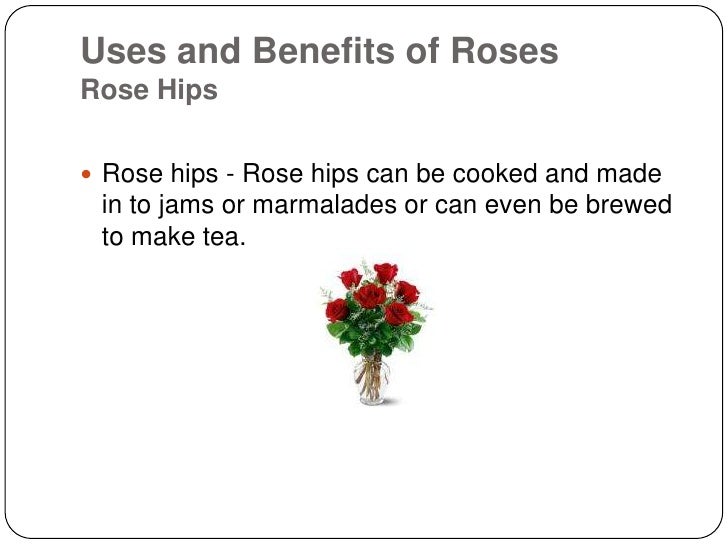 Benefits Of Roses