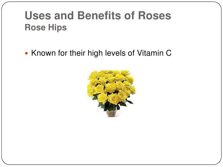 Benefits Of Roses