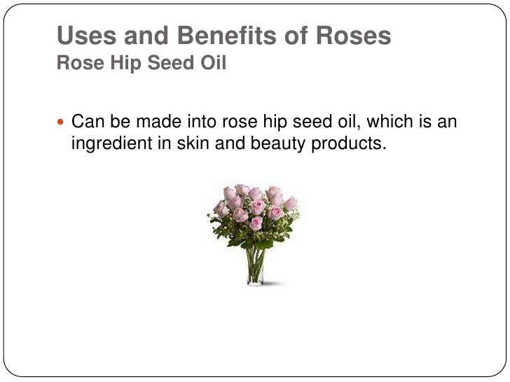 Benefits Of Roses