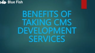 BENEFITS OF
TAKING CMS
DEVELOPMENT
SERVICES
 