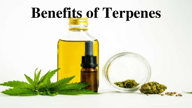 Benefits of Terpenes
 
