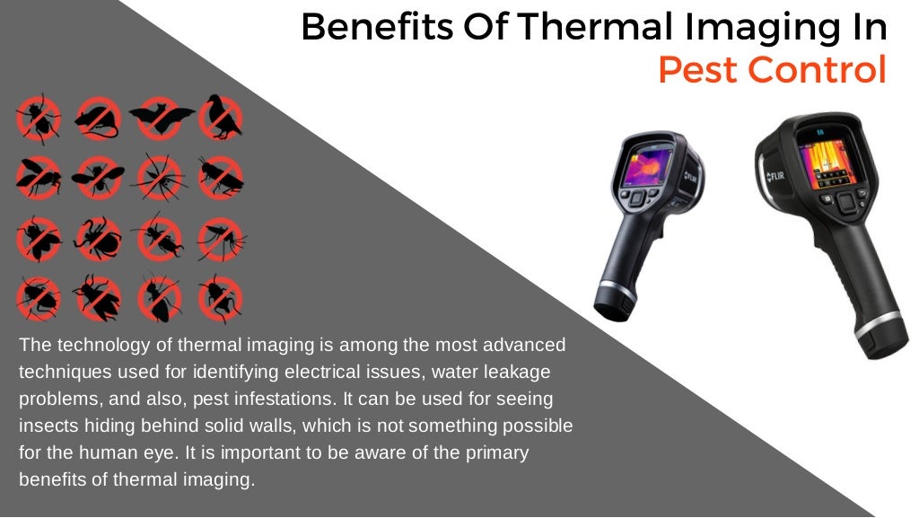 Benefits of thermal imaging in pest control