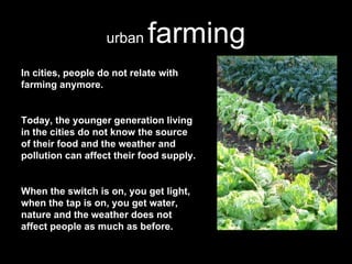 Benefits Of Urban Farming | PPT