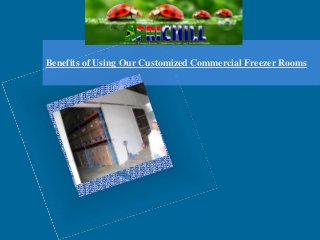 Benefits of Using Our Customized Commercial Freezer Rooms
 