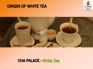 ORIGIN OF WHITE TEA
CHA PALACE - White Tea
 