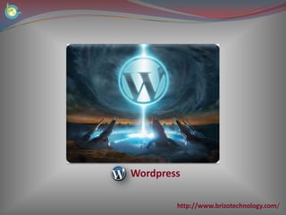 Wordpress

        http://www.brizotechnology.com/
 