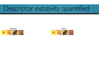 Descriptor instability quantiﬁed
 