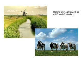 Holland er mjög frjósamt  og mikið landbúnaðarland 