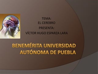TEMA:EL CEREBRO PRESENTA: VÍCTORHUGO ESPARZA LARA BENEMÉRITAUNIVERSIDAD AUTÓNOMA DE PUEBLA 
