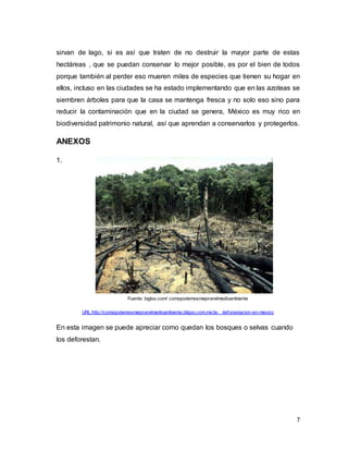 7
sirvan de lago, si es así que traten de no destruir la mayor parte de estas
hectáreas , que se puedan conservar lo mejor posible, es por el bien de todos
porque también al perder eso mueren miles de especies que tienen su hogar en
ellos, incluso en las ciudades se ha estado implementando que en las azoteas se
siembren árboles para que la casa se mantenga fresca y no solo eso sino para
reducir la contaminación que en la ciudad se genera, México es muy rico en
biodiversidad patrimonio natural, así que aprendan a conservarlos y protegerlos.
ANEXOS
1.
Fuente: bigloo.com/ comopodemosmejorarelmedioambiente
URL:http://comopodemosmejorarelmedioambiente.bligoo.com.mx/la- deforestacion-en-mexico
En esta imagen se puede apreciar como quedan los bosques o selvas cuando
los deforestan.
 