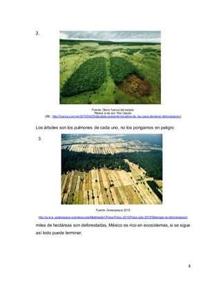 8
2.
Fuente: Diario fuerza del estado
Página w eb por: Flor Cejudo
URL: http://fuerza.com.mx/2015/04/25/diputada-presenta-iniciativa-de- ley-para-disminuir-deforestacion/
Los árboles son los pulmones de cada uno, no los pongamos en peligro
3.
Fuente: Greenpeace 2015
http://w w w .greenpeace.org/mexico/es/Multimedia1/Fotos/Fotos-2010/Fotos-julio-2010/Detengan-la-deforestacion/
miles de hectáreas son deforestadas, México es rico en ecosistemas, si se sigue
así todo puede terminar.
 