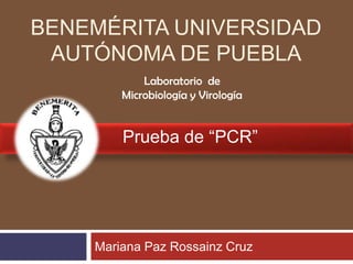 BENEMÉRITA UNIVERSIDAD
AUTÓNOMA DE PUEBLA
Laboratorio de
Microbiología y Virología

Prueba de “PCR”

Mariana Paz Rossainz Cruz

 