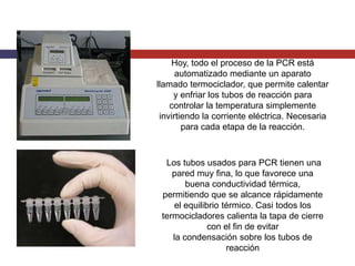 Hoy, todo el proceso de la PCR está
automatizado mediante un aparato
llamado termociclador, que permite calentar
y enfriar los tubos de reacción para
controlar la temperatura simplemente
invirtiendo la corriente eléctrica. Necesaria
para cada etapa de la reacción.

Los tubos usados para PCR tienen una
pared muy fina, lo que favorece una
buena conductividad térmica,
permitiendo que se alcance rápidamente
el equilibrio térmico. Casi todos los
termocicladores calienta la tapa de cierre
con el fin de evitar
la condensación sobre los tubos de
reacción

 