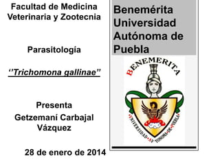 Facultad de Medicina
Veterinaria y Zootecnia

Parasitología
‘’Trichomona gallinae’’

Presenta
Getzemaní Carbajal
Vázquez
28 de enero de 2014

Benemérita
Universidad
Autónoma de
Puebla

 