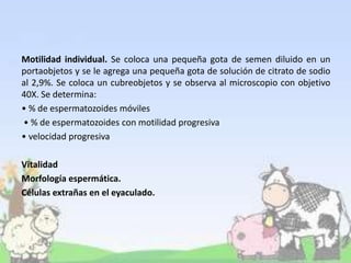 Motilidad individual. Se coloca una pequeña gota de semen diluido en un
portaobjetos y se le agrega una pequeña gota de solución de citrato de sodio
al 2,9%. Se coloca un cubreobjetos y se observa al microscopio con objetivo
40X. Se determina:
• % de espermatozoides móviles
• % de espermatozoides con motilidad progresiva
• velocidad progresiva
Vitalidad
Morfología espermática.
Células extrañas en el eyaculado.
 