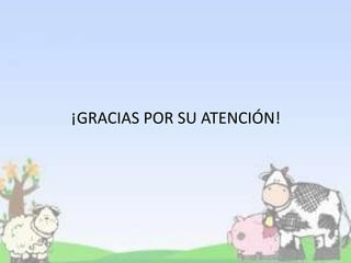 ¡GRACIAS POR SU ATENCIÓN!
 
