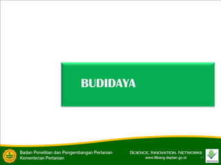 14
BUDIDAYA
 