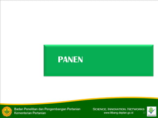 22
PANEN
 