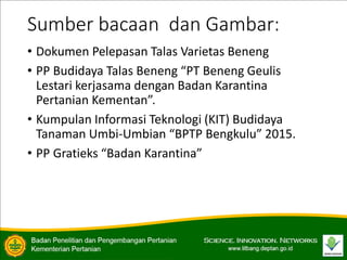 Sumber bacaan dan Gambar:
• Dokumen Pelepasan Talas Varietas Beneng
• PP Budidaya Talas Beneng “PT Beneng Geulis
Lestari kerjasama dengan Badan Karantina
Pertanian Kementan”.
• Kumpulan Informasi Teknologi (KIT) Budidaya
Tanaman Umbi-Umbian “BPTP Bengkulu” 2015.
• PP Gratieks “Badan Karantina”
 