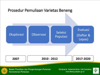 Prosedur Pemuliaan Varietas Beneng
Eksplorasi Observasi
Seleksi
Populasi
Evaluasi
(Daftar &
Lepas)
2007 2010 - 2012 2017-2020
 