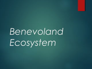 Benevoland
Ecosystem
 
