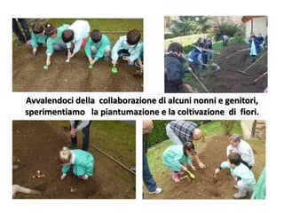 Avvalendoci della collaborazione di alcuni nonni e genitori,
sperimentiamo la piantumazione e la coltivazione di fiori.
 