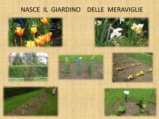 NASCE IL GIARDINO DELLE MERAVIGLIE
 