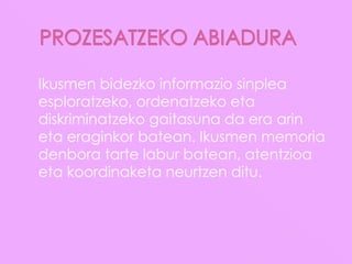 Ikusmen bidezko informazio sinplea
esploratzeko, ordenatzeko eta
diskriminatzeko gaitasuna da era arin
eta eraginkor batean. Ikusmen memoria
denbora tarte labur batean, atentzioa
eta koordinaketa neurtzen ditu.
 