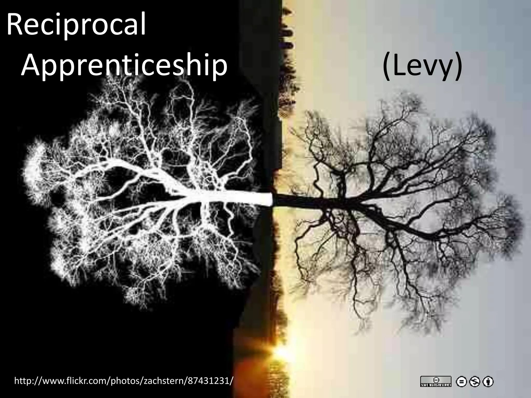 Reciprocal
 Apprenticeship                                    (Levy)




http://www.flickr.com/photos/zachstern/87431231/
 