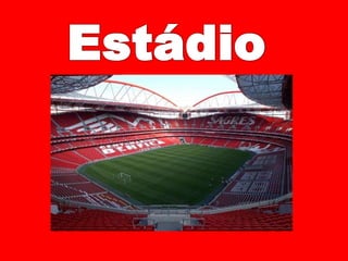 Estádio