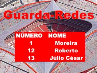Guarda-Redes