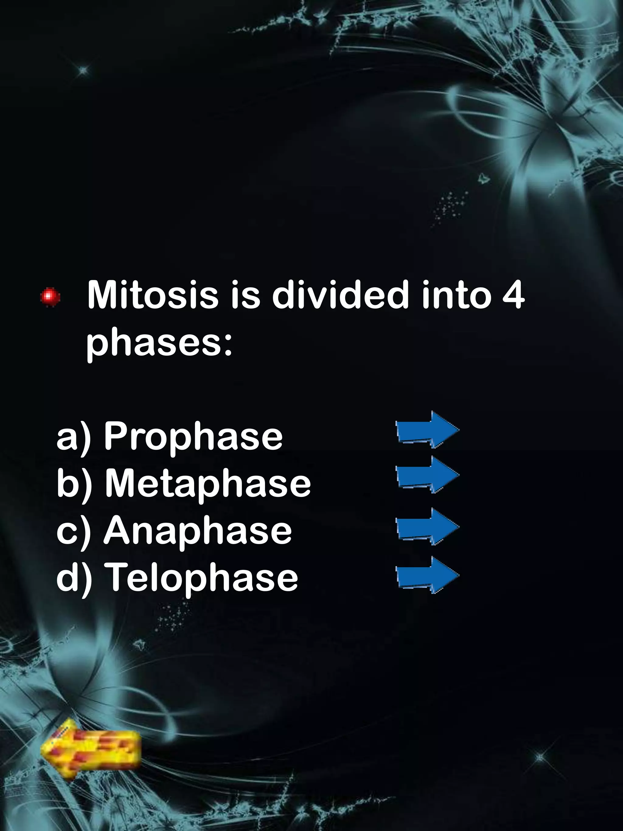 Mitosis is divided into 4
 phases:

a) Prophase
b) Metaphase
c) Anaphase
d) Telophase
 