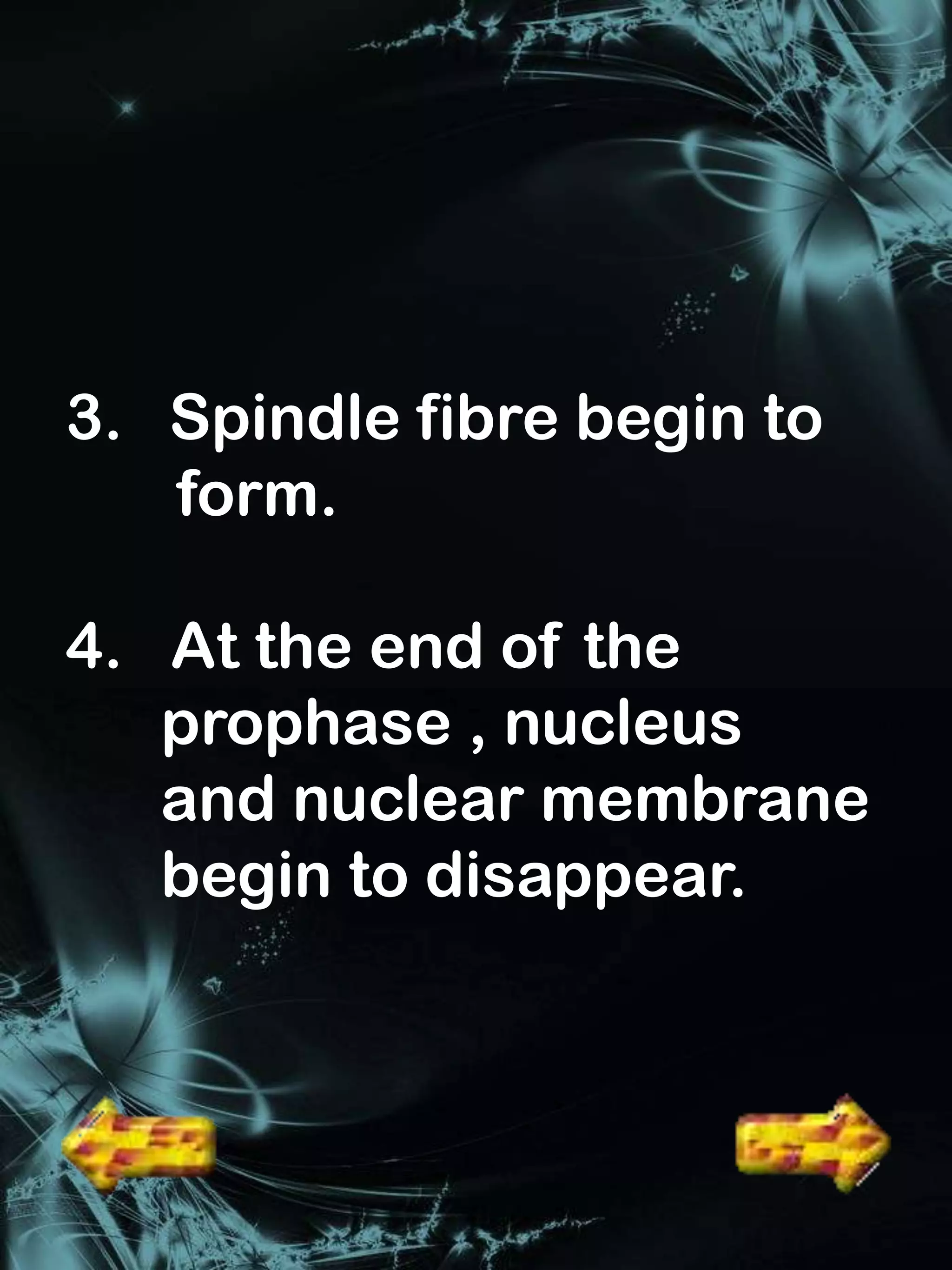 3. Spindle fibre begin to
   form.

4. At the end of the
   prophase , nucleus
   and nuclear membrane
   begin to disappear.
 