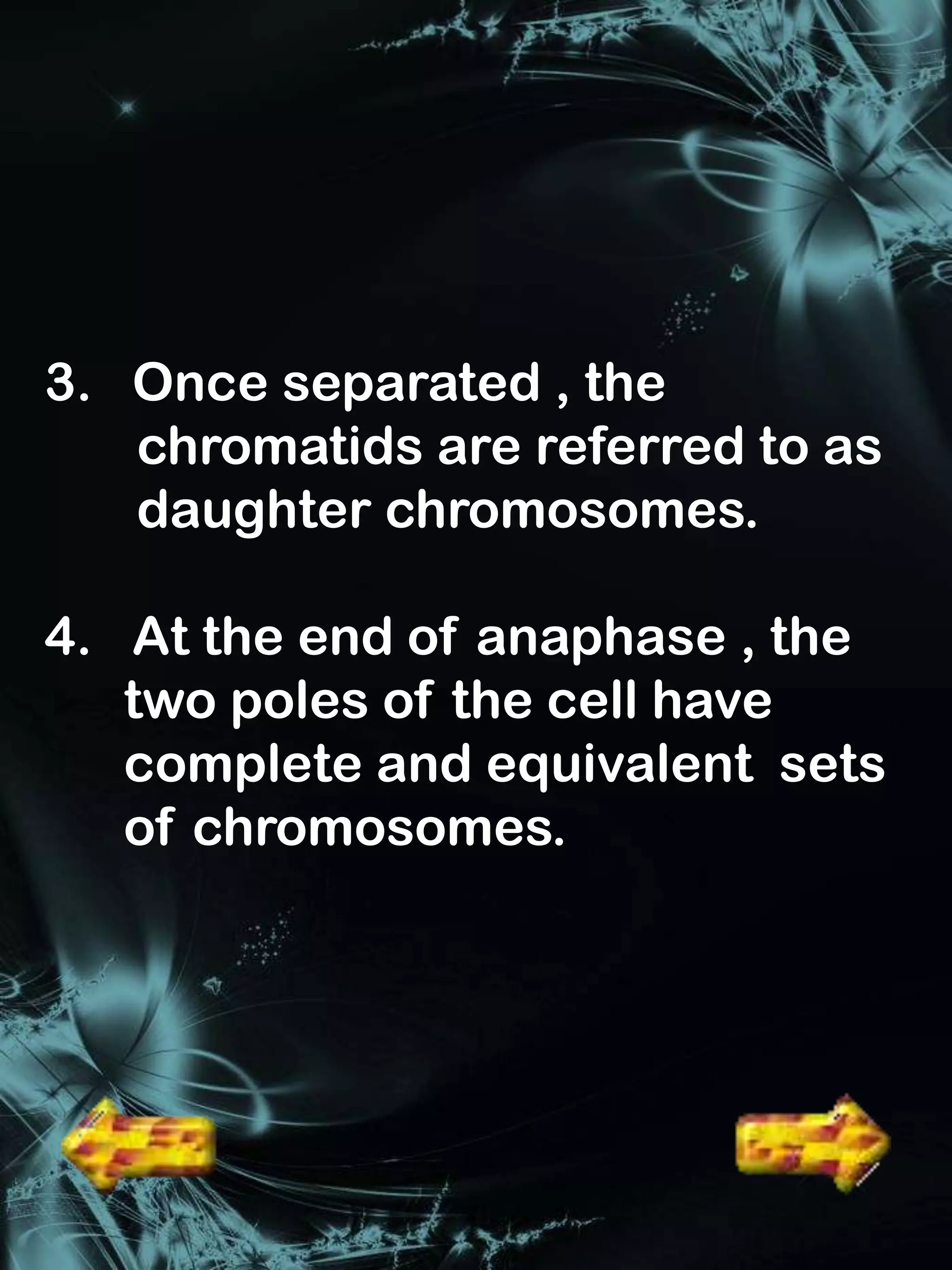 3. Once separated , the
   chromatids are referred to as
   daughter chromosomes.

4. At the end of anaphase , the
   two poles of the cell have
   complete and equivalent sets
   of chromosomes.
 