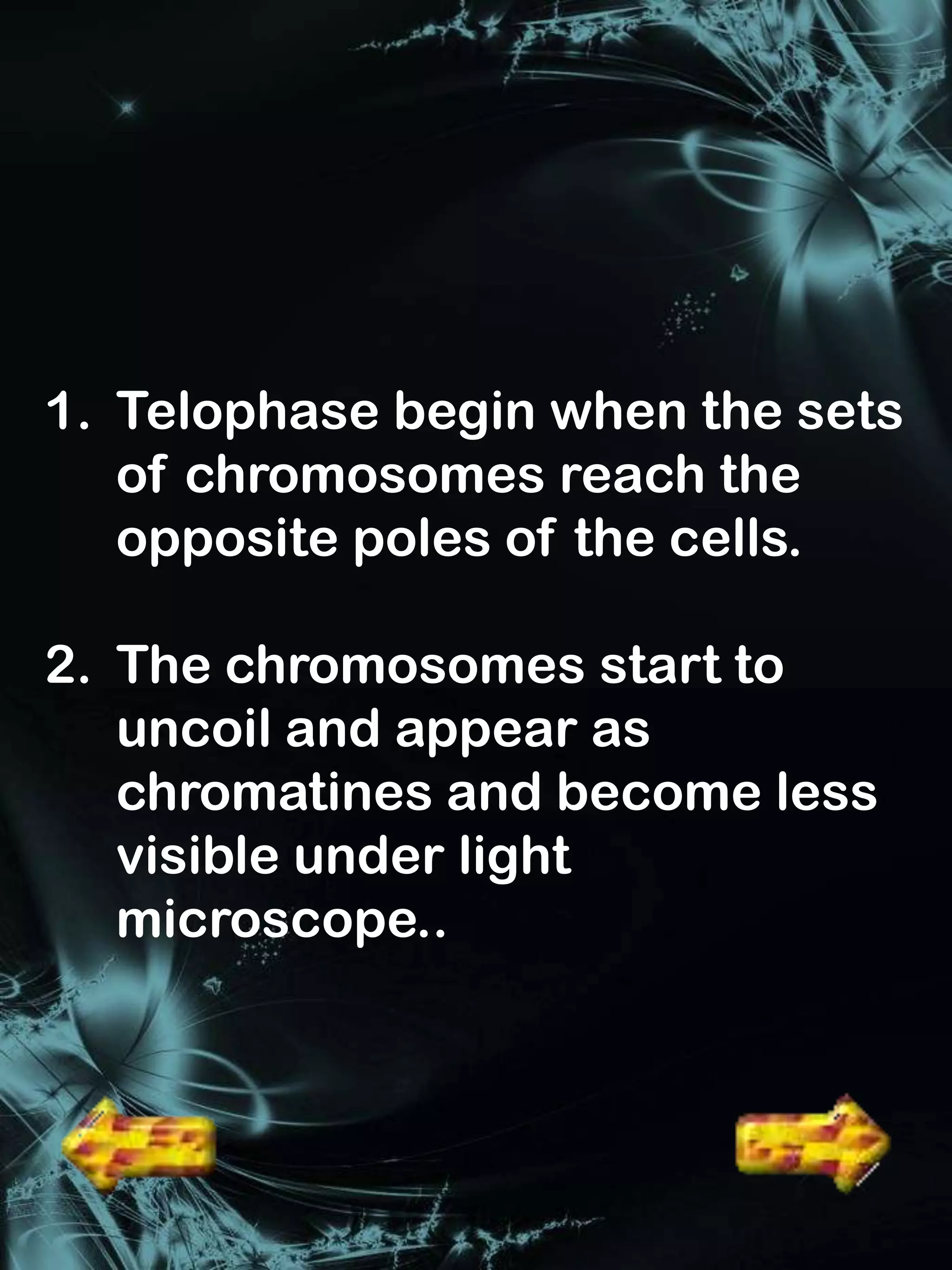 1. Telophase begin when the sets
   of chromosomes reach the
   opposite poles of the cells.

2. The chromosomes start to
   uncoil and appear as
   chromatines and become less
   visible under light
   microscope..
 